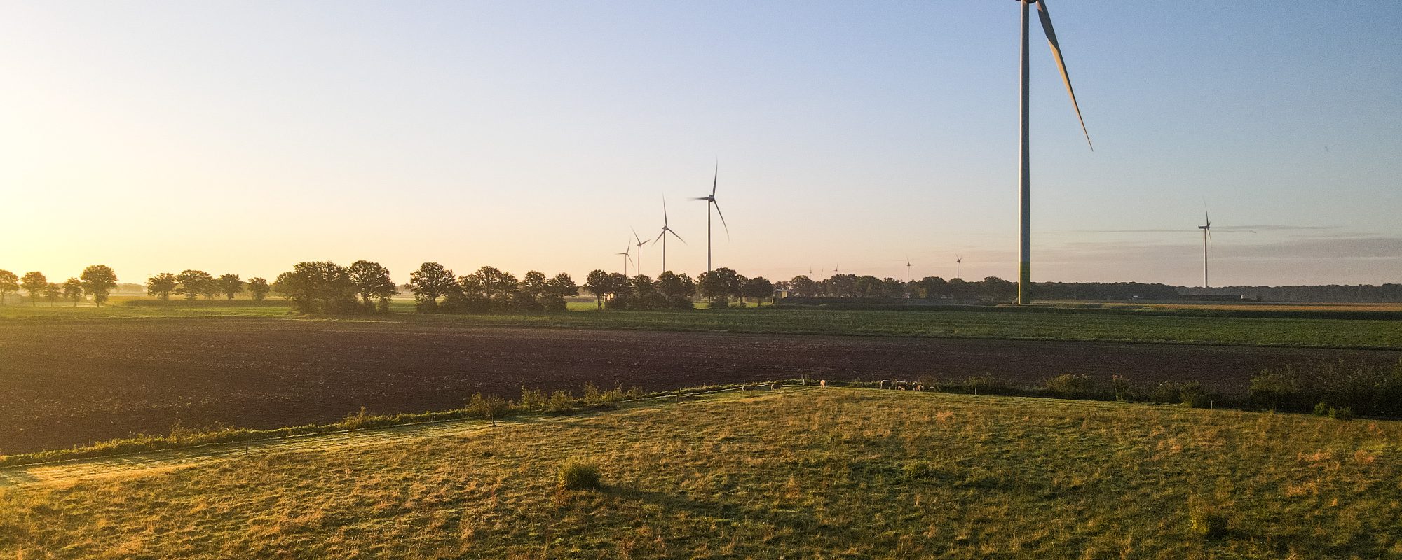 Windpark Egchelseheide, Peel Energie Peel en Maas