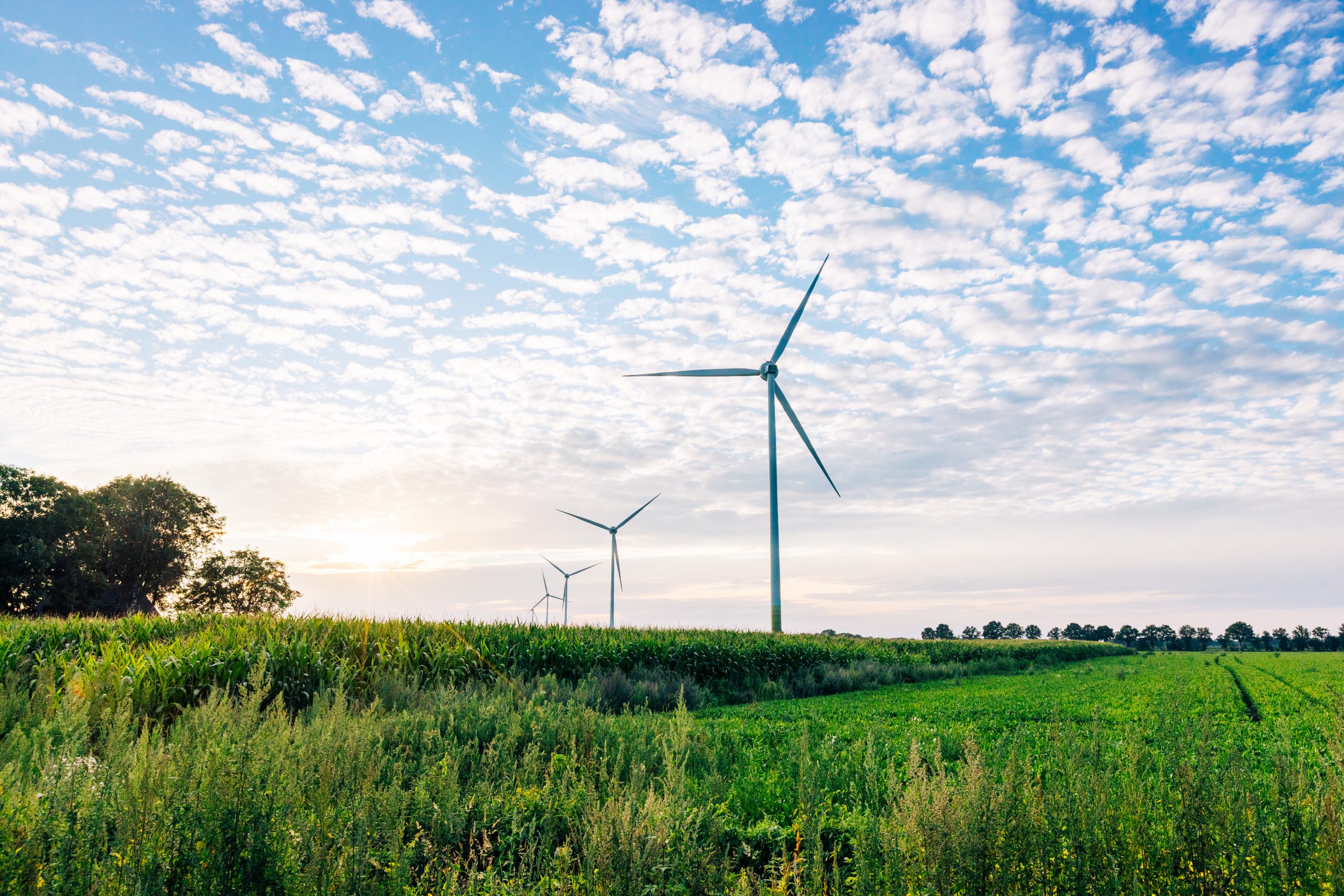 Windpark Egchelseheide, Peel Energie Peel en Maas