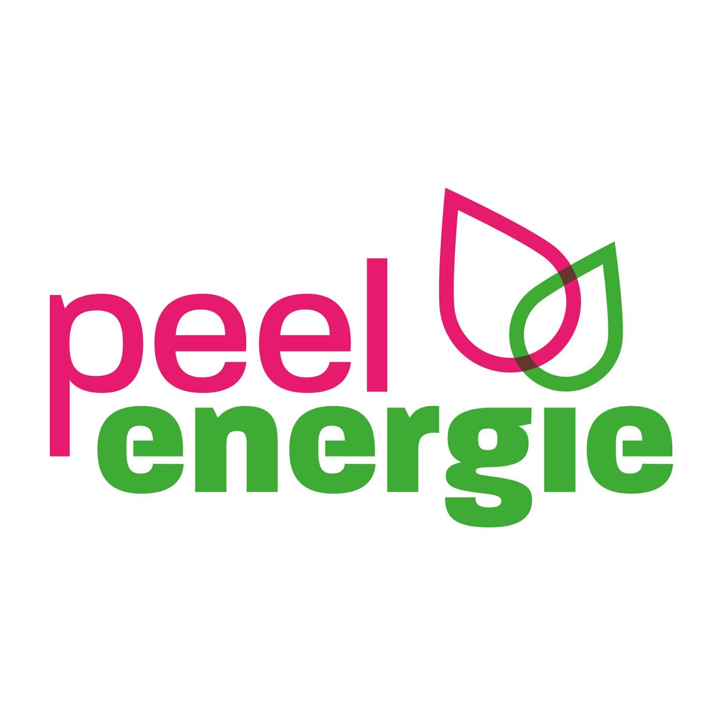 Logo Peel Energie